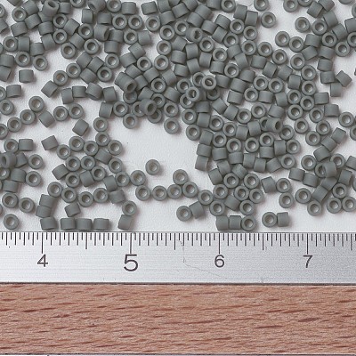 MIYUKI Delica Beads X-SEED-J020-DB0761-1