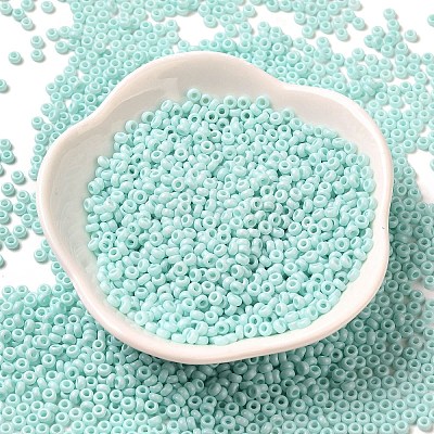 Baking Paint Glass Seed Beads SEED-P006-03A-29-1