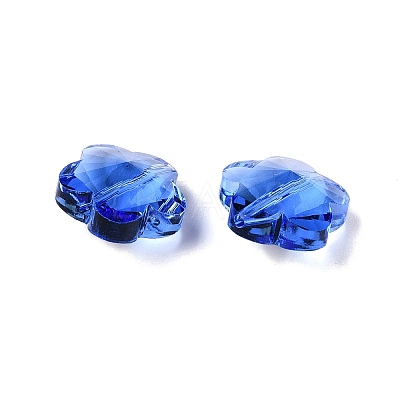Transparent Glass Beads GLAA-Q066-14mm-C08-1
