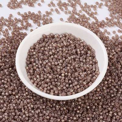 MIYUKI Round Rocailles Beads X-SEED-G008-RR0641-1