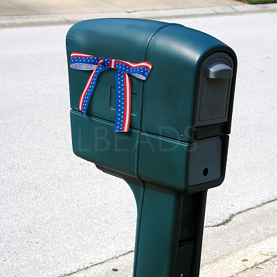 2 Rolls 2 Styles Independence Day Polyester Ribbon OCOR-NB0001-70-1
