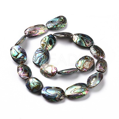 Natural Abalone Shell/Paua Shell Beads SSHEL-E379-1-1