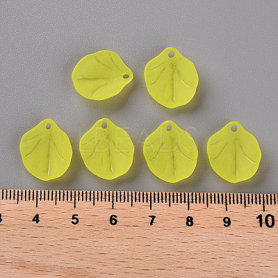 Transparent Frosted Acrylic Pendants MACR-S371-02A-717-1