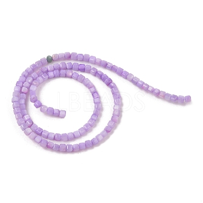Natural Freshwater Shell Dyed Beads Strands SHEL-R100-11A-04-1