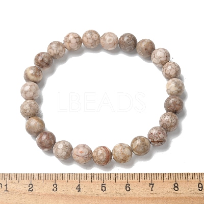 Natural Maifanite/Maifan Stone Bead Stretch Bracelets X-BJEW-K212-B-044-1