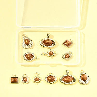 12Pcs 6 Styles Alloy Resin Pendants FIND-FS0004-05-1