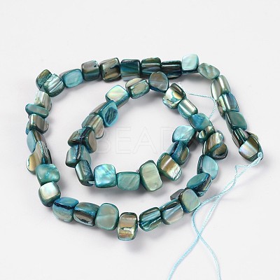 Shell Beads Strands PBB051Y-1
