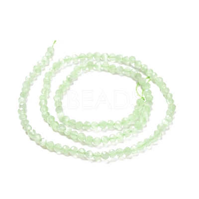 Cat Eye Beads Strands CE-I005-B49-1