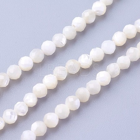 Shell Beads Strands LS-G-F619-27-3mm-1