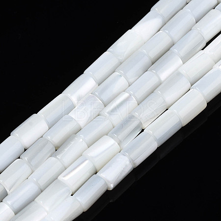 Natural Freshwater Shell Beads Strands X-SHEL-N003-26-A01-1