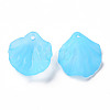Transparent Frosted Acrylic Pendants MACR-S371-01A-755-2