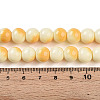 Baking Paint Glass Beads Strands DGLA-N012-10mm-03-4