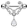 316L Surgical Stainless Steel Clear Cubic Zirconia Teardrop Nipple Stirrup WGE53BF-01-1