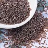 MIYUKI Round Rocailles Beads X-SEED-G007-RR0327-1