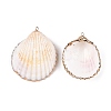 Natural Scallop Shell Big Pendants SSHEL-N038-13-2