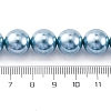 Shell Pearl Beads Strands BSHE-K015-12mm-02-2