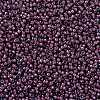 MIYUKI Round Rocailles Beads X-SEED-G009-RR0386-3