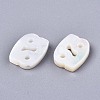 Natural White Shell Beads LS-SSHEL-ZX004-02D-2