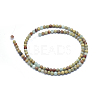 Natural Aqua Terra Jasper Beads Strands G-N0128-48-4mm-2