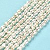 Natural Cultured Freshwater Pearl Beads Strands PEAR-E016-104-2