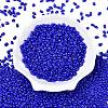 Baking Paint Glass Seed Beads SEED-T006-03-01-1