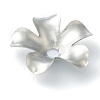 Non-Tarnish 304 Stainless Steel Bead Caps STAS-H149-25P-2