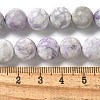 Natural Purple Turquoise Beads Strands G-L595-C04-03-5