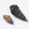 Natural Spiral Shell Beads SSHEL-S258-85-3