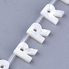 Natural Sea Shell Beads SHEL-T012-60R-2