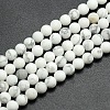 Frosted Howlite Round Bead Strands G-M064-8mm-12-1