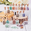 19Pcs Various Gemstone No Hole Chips in Bottles G-PH0034-50-6