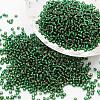 6/0 Transparent Glass Round Seed Beads SEED-J010-F6-37-1