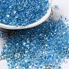 Glass Seed Beads SEED-K009-08B-01-1