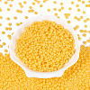 Opaque Glass Seed Beads SEED-N012-09A-04-2
