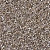 MIYUKI Delica Beads X-SEED-J020-DB0680-3