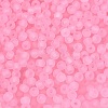 FGB Frosted Transparent Glass Seed Beads SEED-N013-02A-05-3