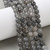 Natural Cloudy Quartz Beads Strands G-D840-69-8mm-5