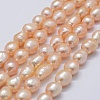Natural Cultured Freshwater Pearl Beads Strands PEAR-K004-03B-01-1