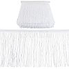 Polyester Tassel Fringe Trimming FIND-WH0043-60C-1