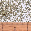 MIYUKI Delica Beads SEED-X0054-DB0508-4