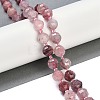 Natural Strawberry Quartz Beads Strands G-G182-B12-05-2