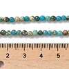 Dyed Natural Regalite/Imperial Jasper/Sea Sediment Jasper Beads Strands G-B124-C05-02-2