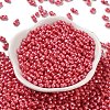 Glass Seed Beads SEED-L011-04A-08-2