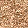 MIYUKI Round Rocailles Beads LS-X-SEED-G008-RR0234-2