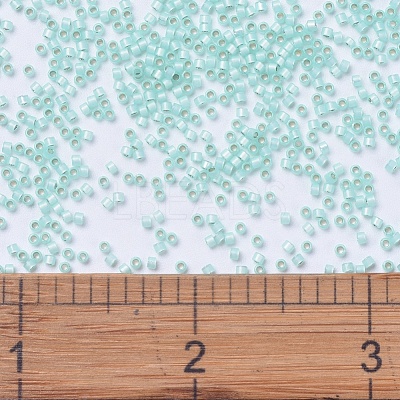 MIYUKI Delica Beads SEED-X0054-DB0626-1