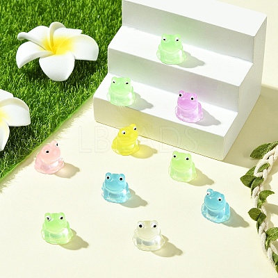 10Pcs Luminous Resin Display Decorations RESI-YW0004-11A-1