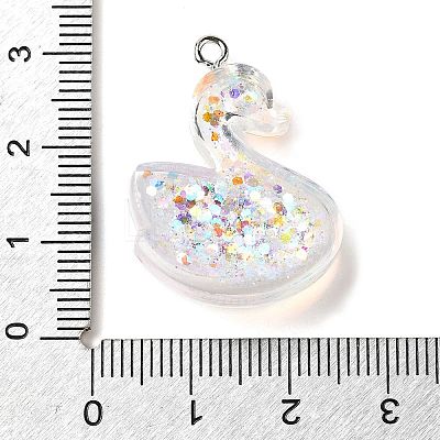 Transparent Resin Pendants RESI-H036-01E-1