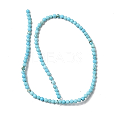 Dyed & Heated Natural Magnesite Beads Strands G-G924-01B-04-1
