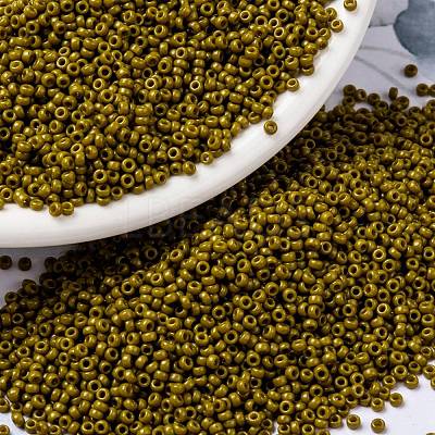 MIYUKI Round Rocailles Beads SEED-JP0010-RR4491-1