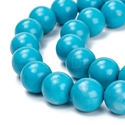 Natural Howlite Beads Strands G-C180-15C-1